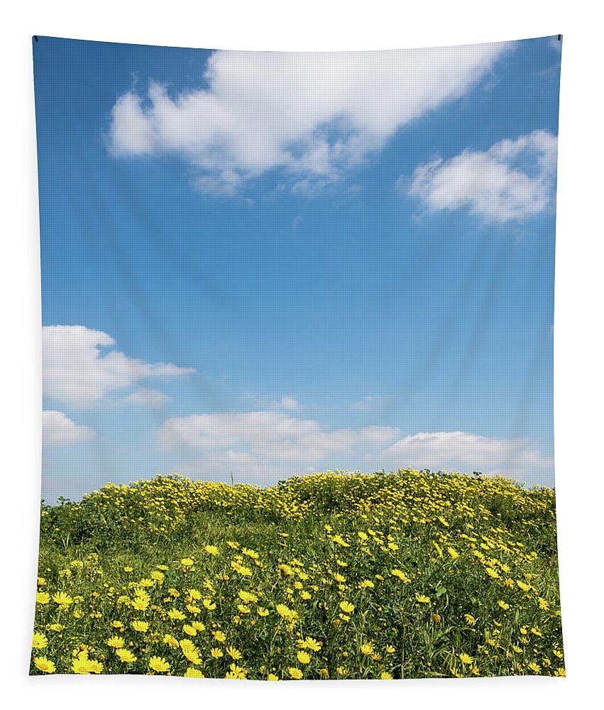 Flowers Tapestry featuring the photograph Field with yellow marguerite daisy blooming flowers against and blue cloudy sky. Spring landscape nature background by Michalakis Ppalis