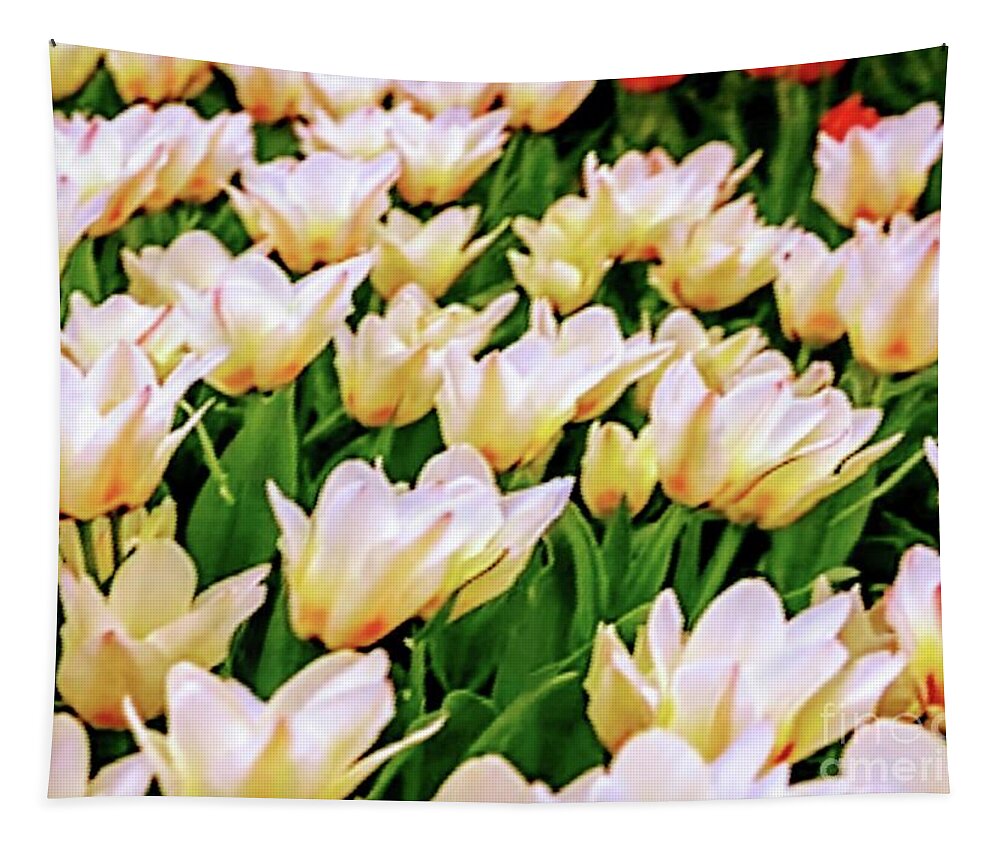 Flower Tapestry featuring the photograph Flower Collection #1 by Yvonne Padmos