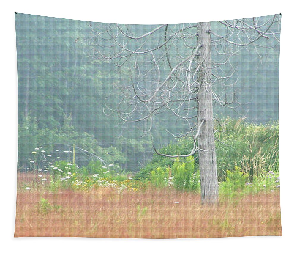 Nature Tapestry featuring the photograph Foggy Morning #1 by Mariarosa Rockefeller