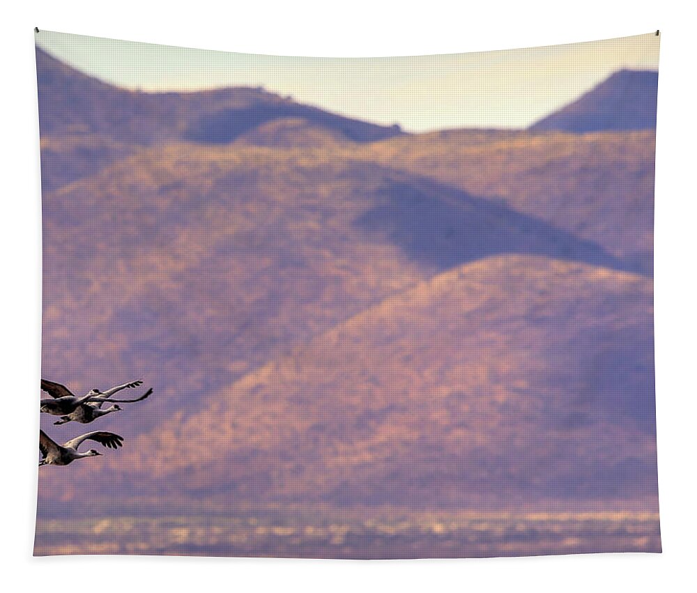 Birds Tapestry featuring the photograph Gaining Altitude #1 by Robert Harris