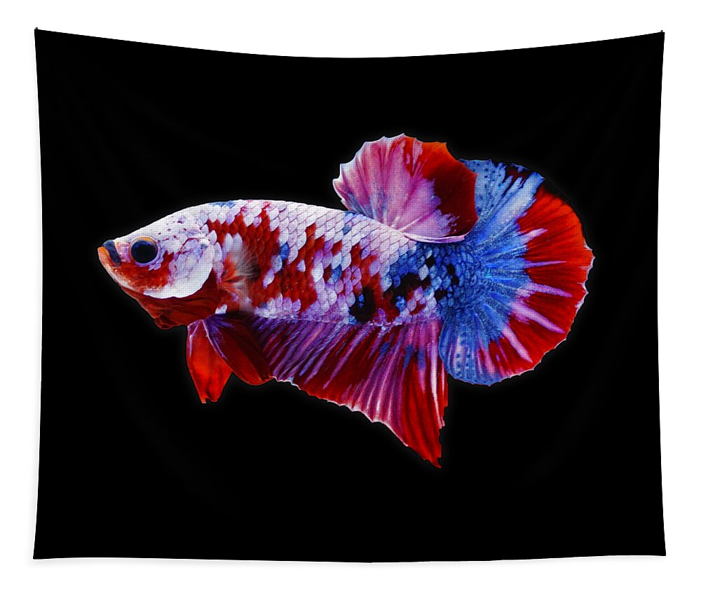 Betta Tapestry featuring the photograph Galaxy Koi Betta Fish by Sambel Pedes