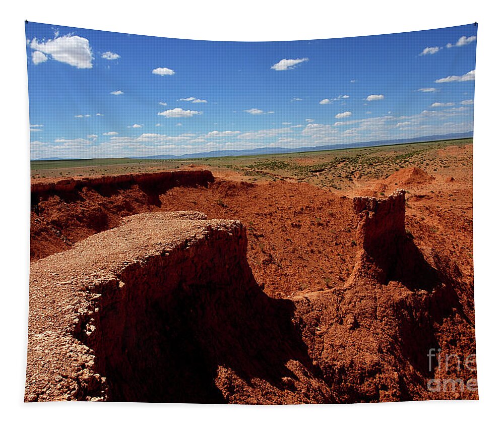 Gobi Desert Tapestry featuring the photograph Gobi desert #1 by Elbegzaya Lkhagvasuren