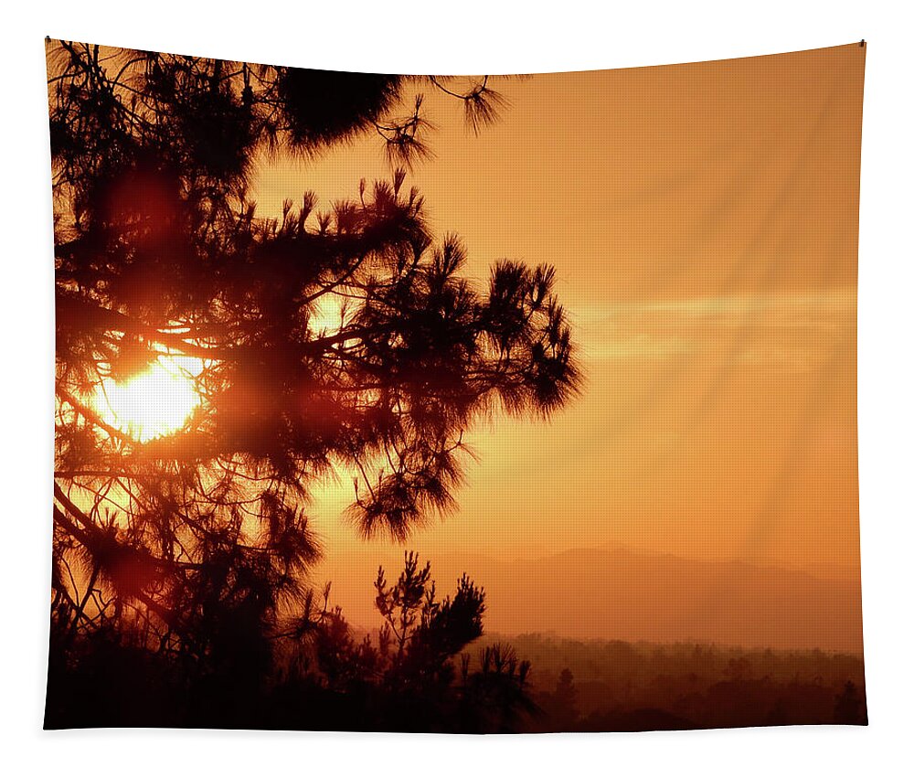 Luck Tapestry featuring the photograph Lucky Sunset by Andrew Lawrence
