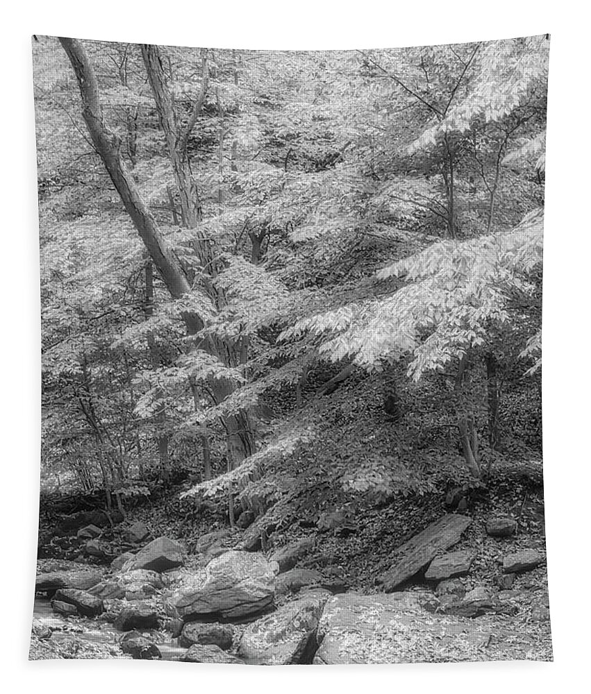 Water Tapestry featuring the photograph Hedden County Park NJ BW #1 by Susan Candelario