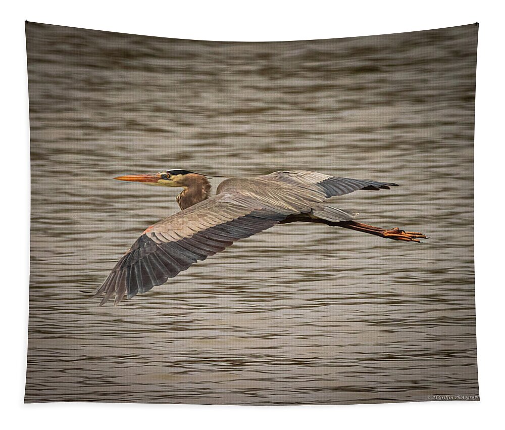 Herron Tapestry featuring the photograph Herron Wingbeat 3 #1 by Al Griffin