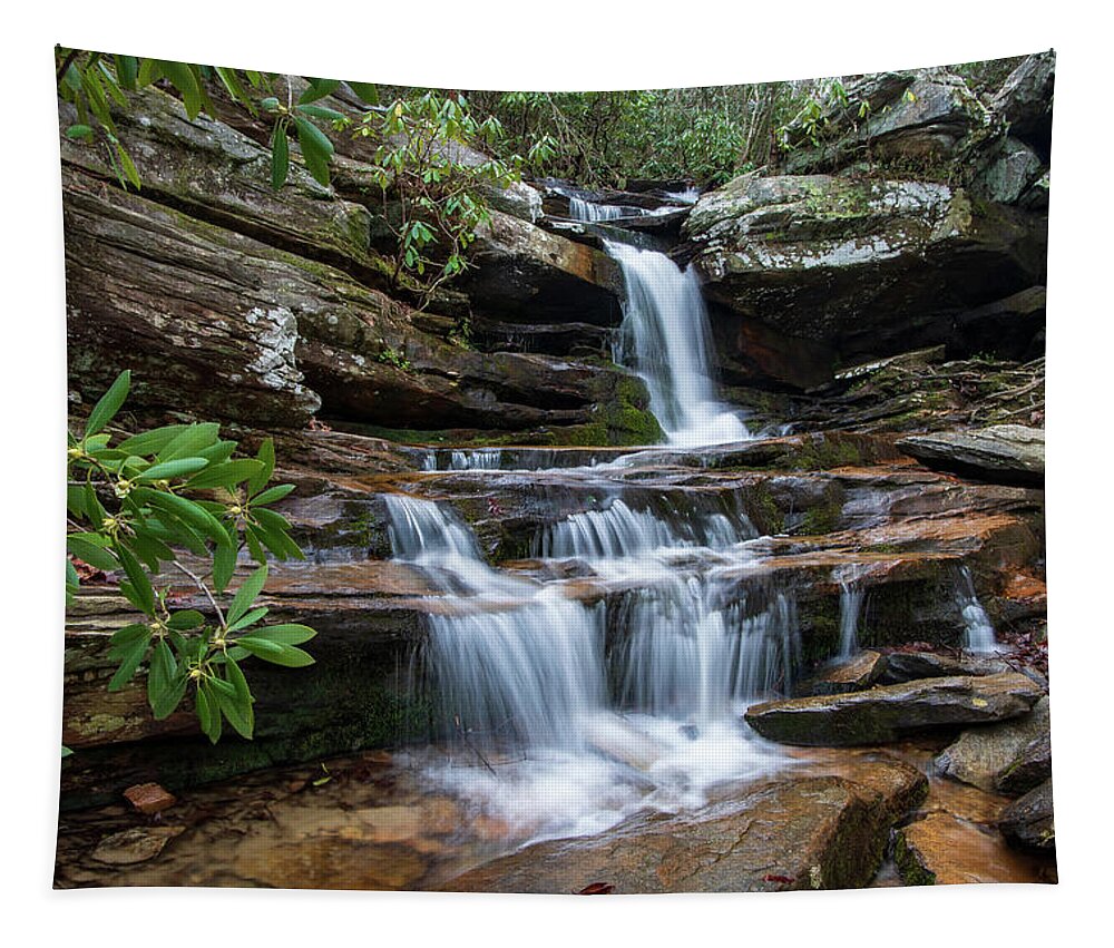 Hidden Falls. Hanging Rock State Park Tapestry featuring the photograph Hidden Falls by Chris Berrier