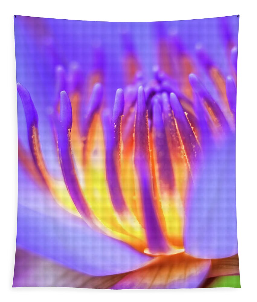 Floral Tapestry featuring the photograph Inner glow. by Usha Peddamatham