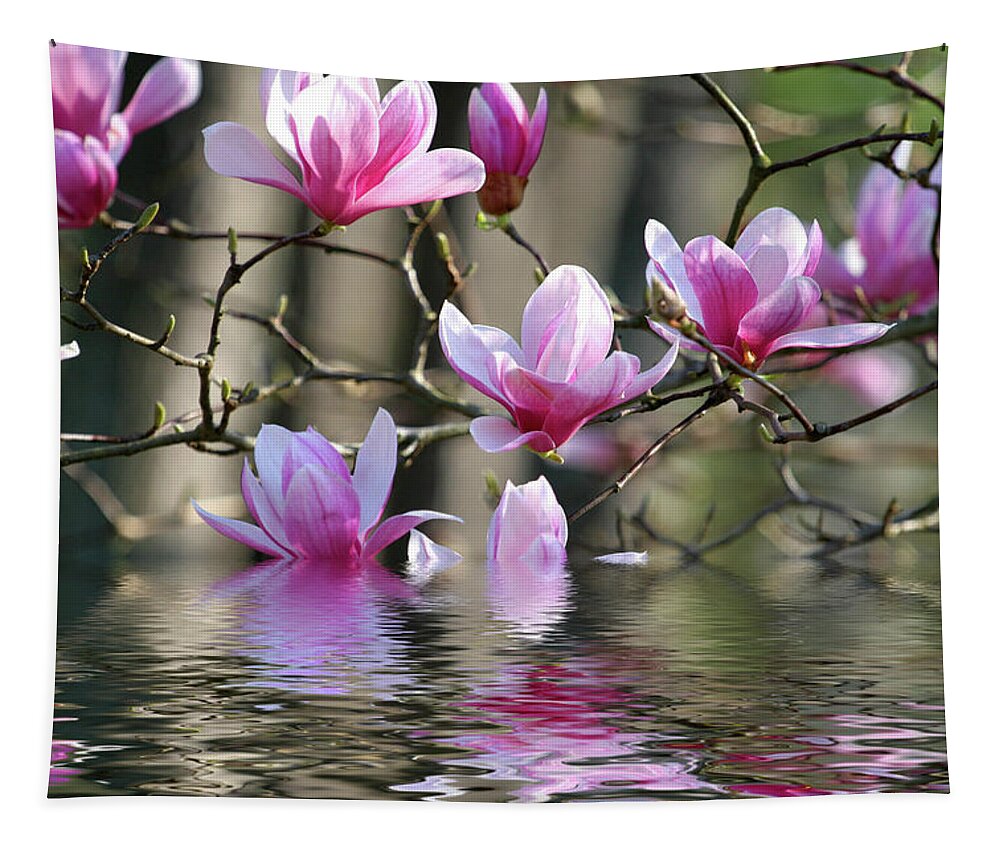 Beautiful Tapestry featuring the photograph Japanese Magnolia #1 by Darryl Brooks