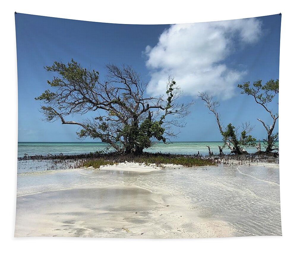Key West Florida Waters Tapestry featuring the photograph Key West Waters by Ashley Turner