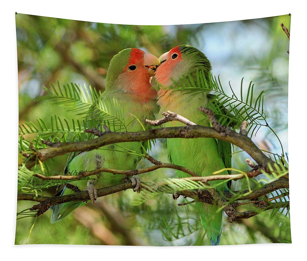 Rosy-faced Lovebird Tapestry featuring the photograph Love Birds #1 by Christian Heeb