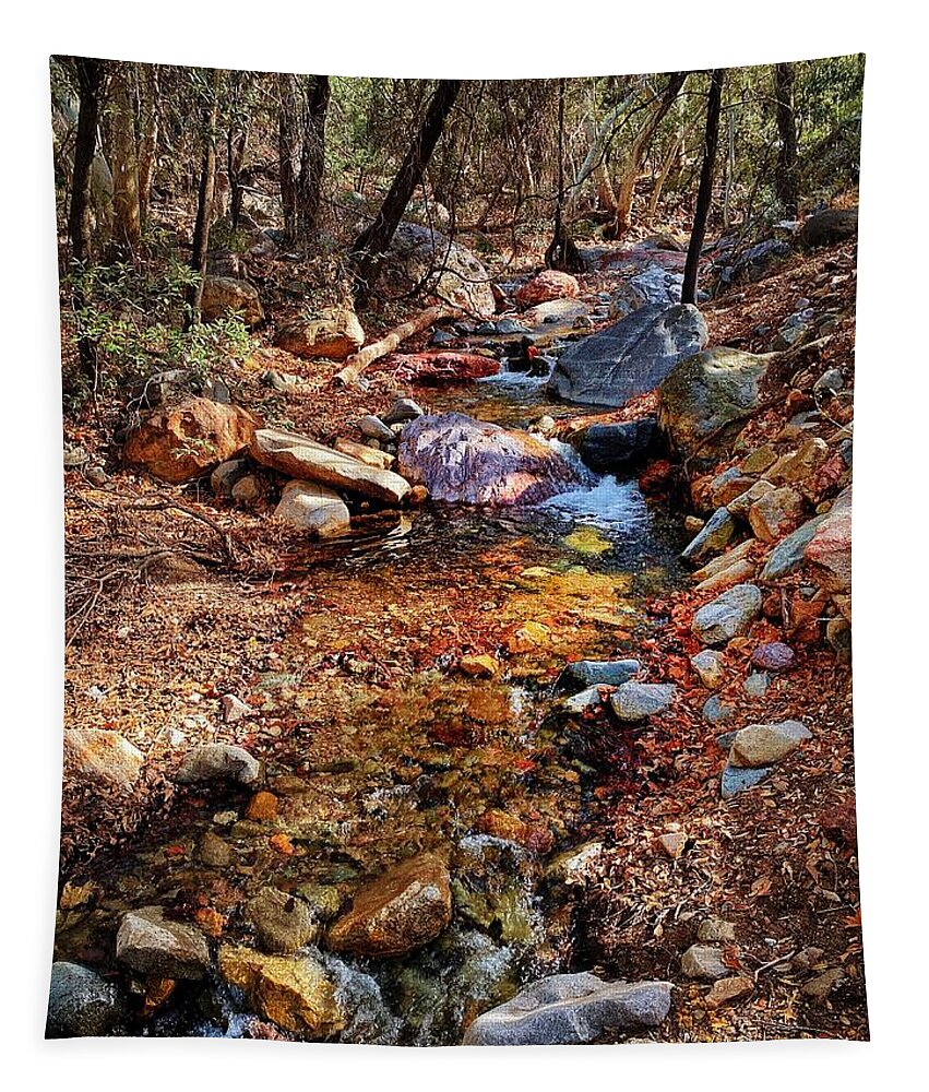 Hiking Tapestry featuring the photograph Madera Canyon Stream #1 by Jerry Abbott