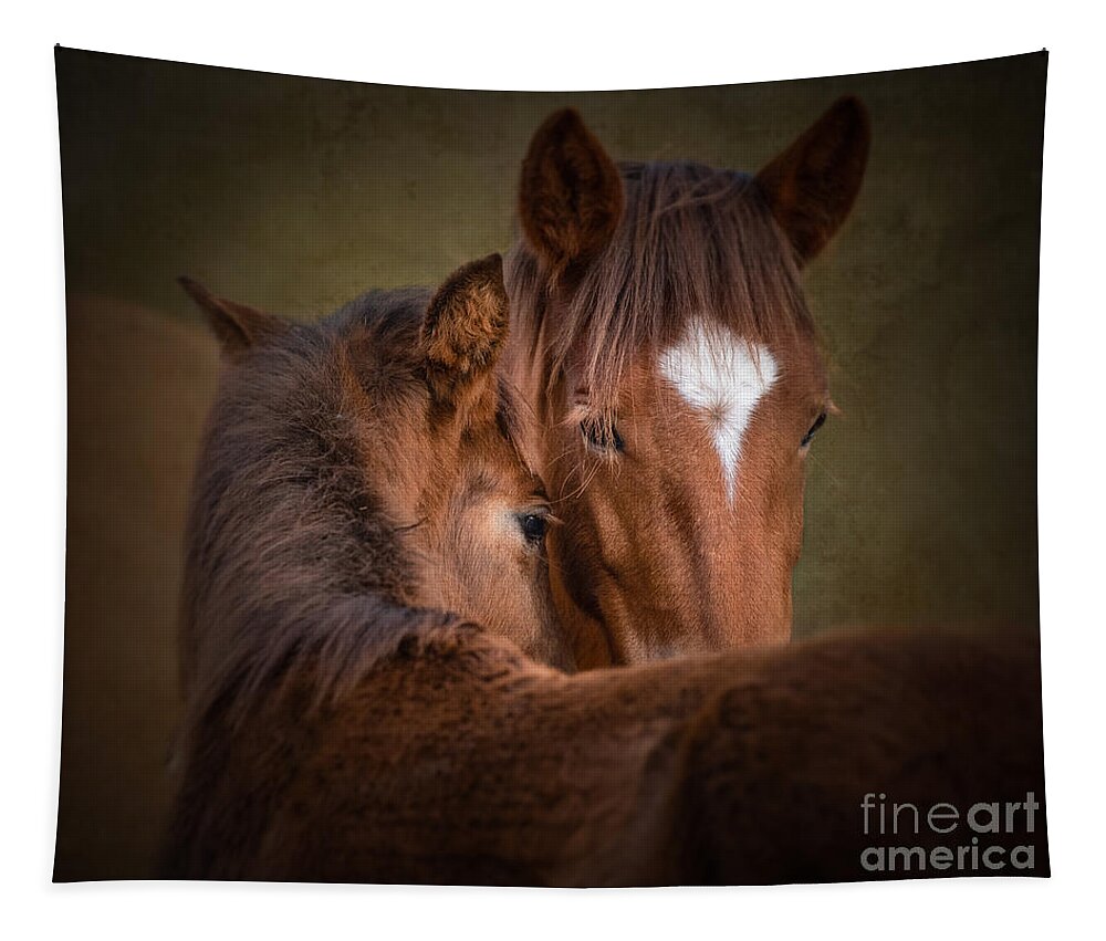 Horse Tapestry featuring the photograph Mare and Foal #1 by Lisa Manifold
