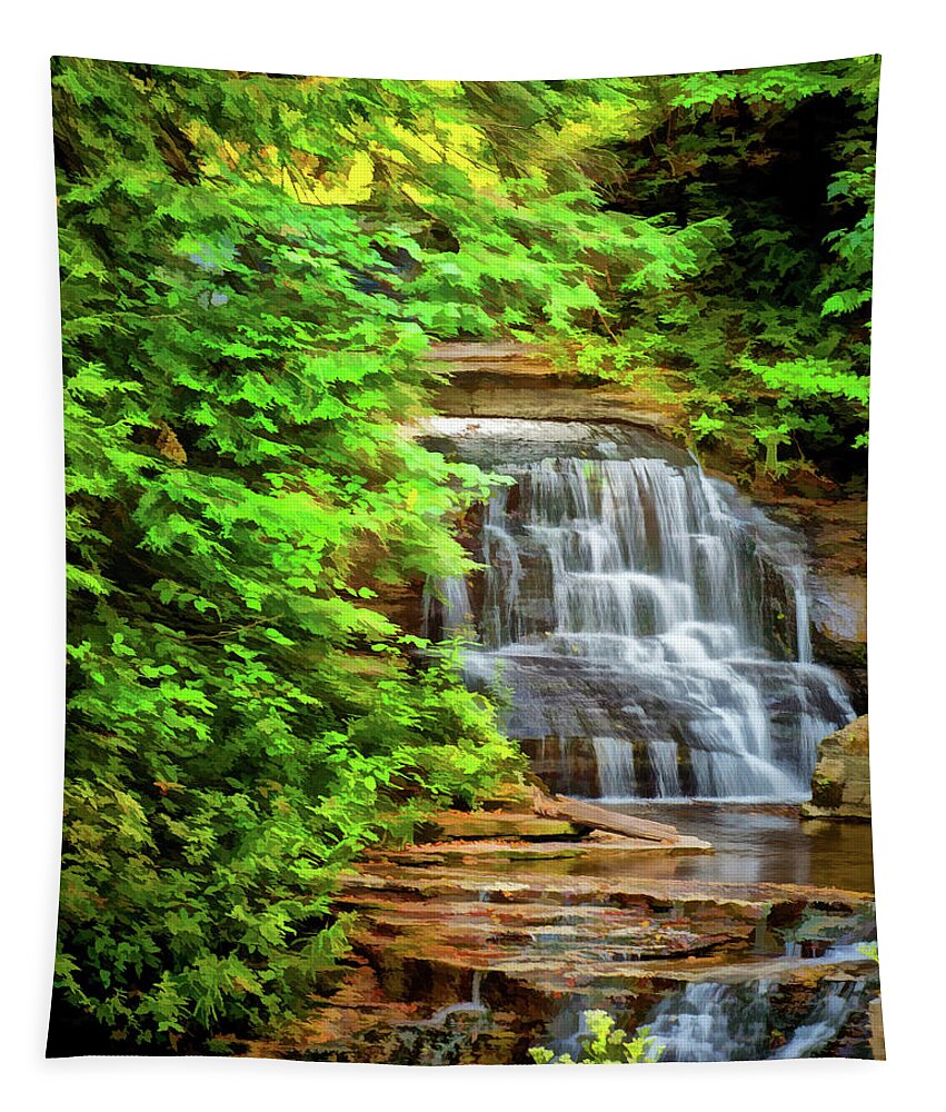 Robert H Treman Tapestry featuring the photograph Mill Falls #1 by Monroe Payne