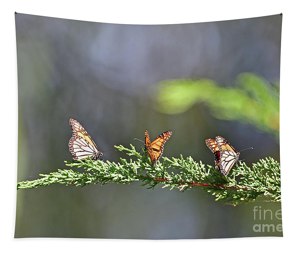 Monarch Tapestry featuring the photograph Monarch Butterfly #1 by Amazing Action Photo Video