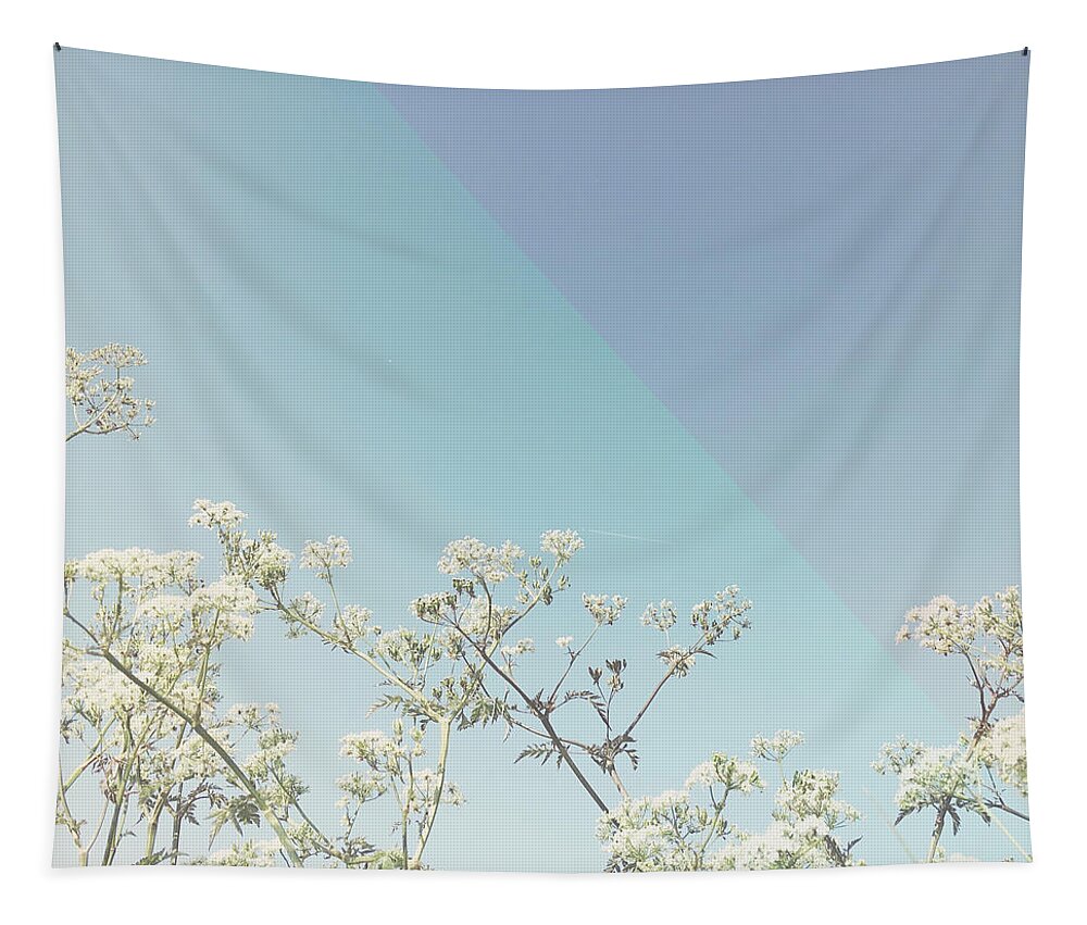 Flowers Tapestry featuring the photograph Morning Glory #1 by Cassia Beck