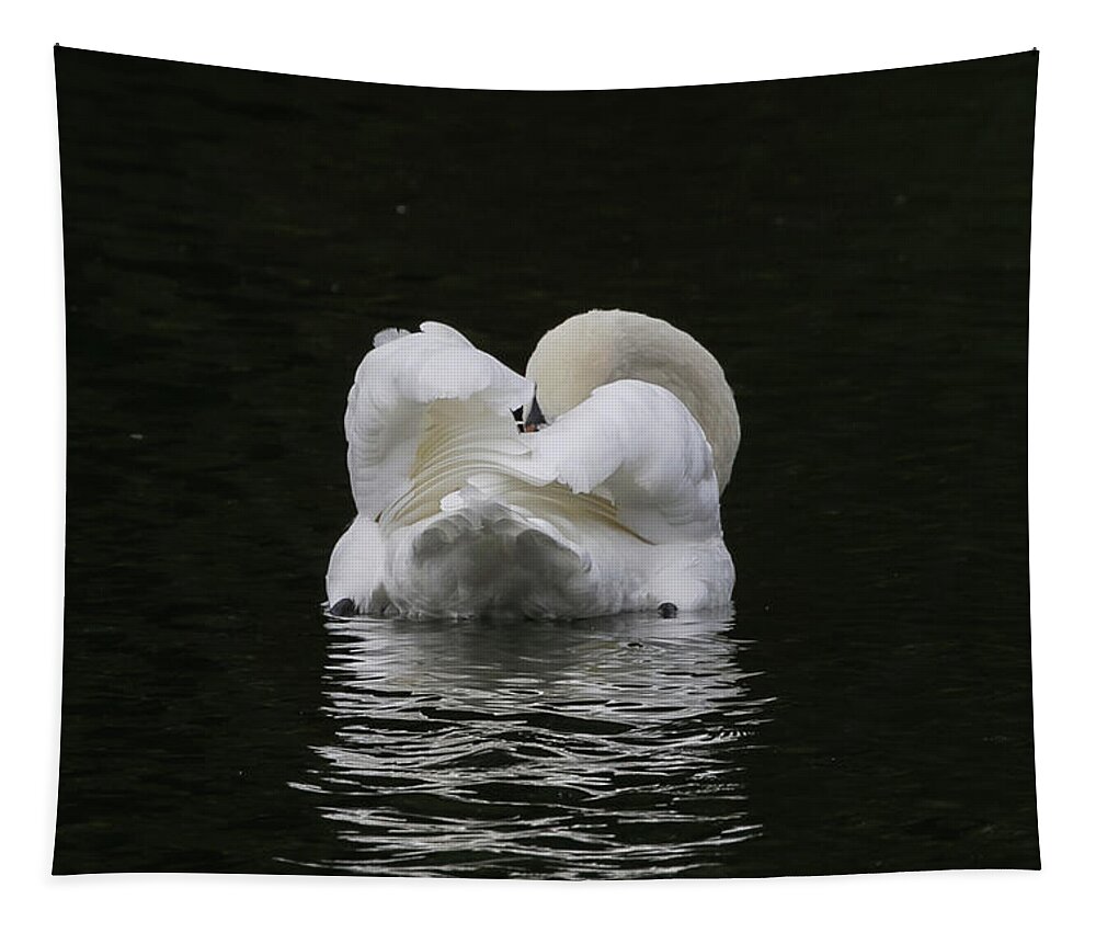 Flyladyphotographybywendycooper Tapestry featuring the photograph Mute Swan #1 by Wendy Cooper