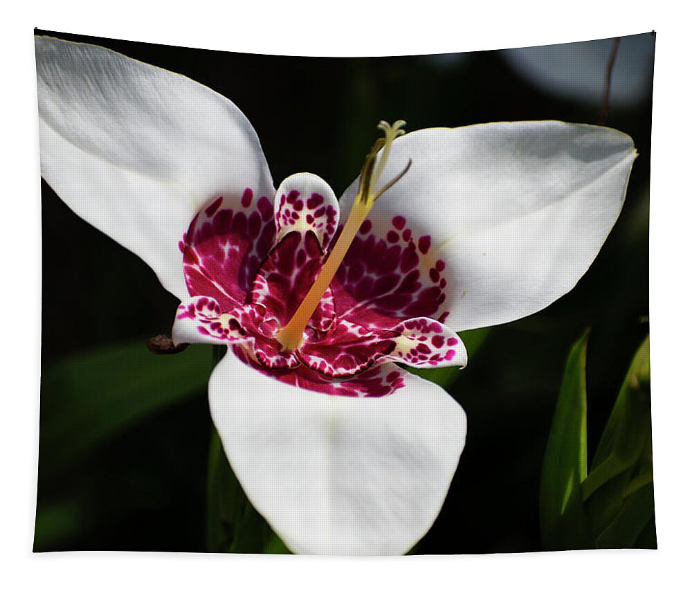 Flowers Tapestry featuring the photograph Nature Art #1 by Robert Grac