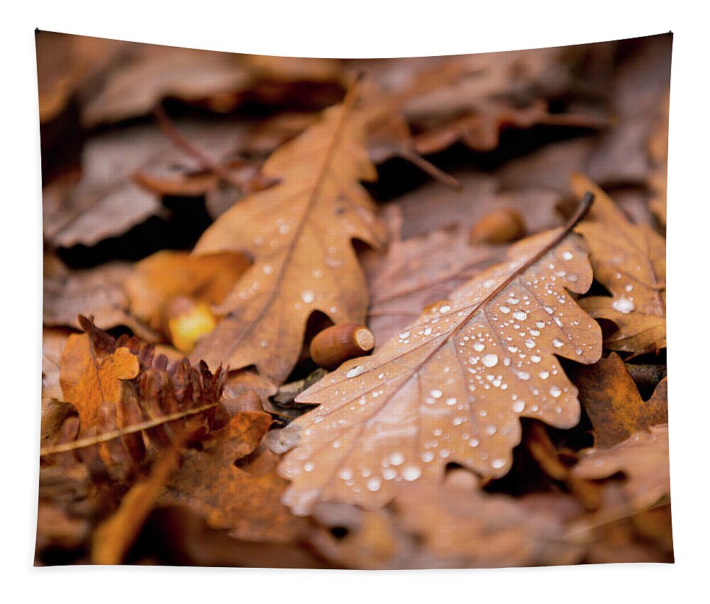 Fall Tapestry featuring the photograph Oak Leaves and rain drops by Anita Nicholson