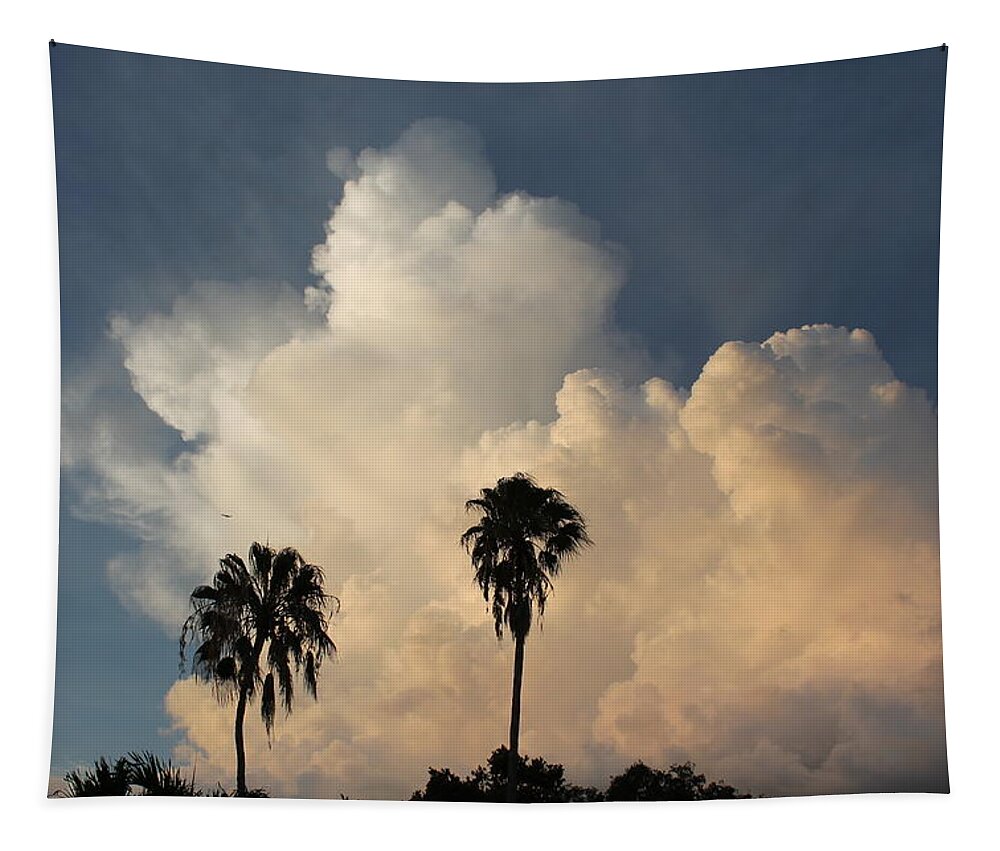 Palm Tapestry featuring the photograph Palm tree silhouettes #1 by Jindra Noewi