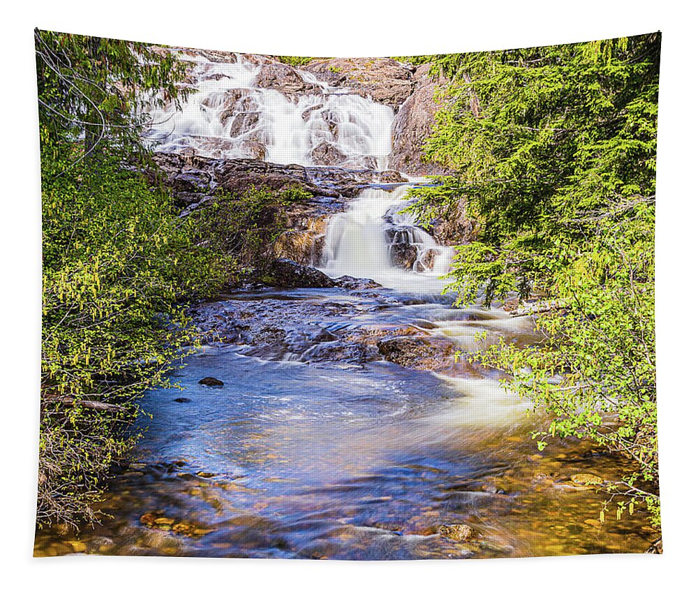Landscapes Tapestry featuring the photograph Paradise Falls-3 #1 by Claude Dalley