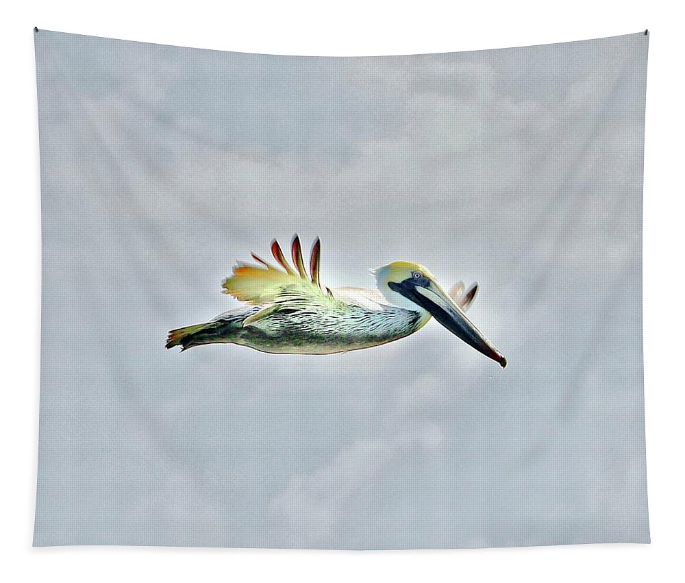 Pelican Tapestry featuring the photograph Pelican in Flight #1 by Sarah Lilja