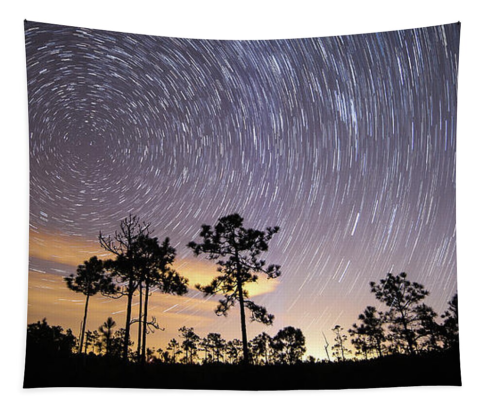 St Jamesstartreails Tapestry featuring the photograph Pepperbush Stars by Nick Noble