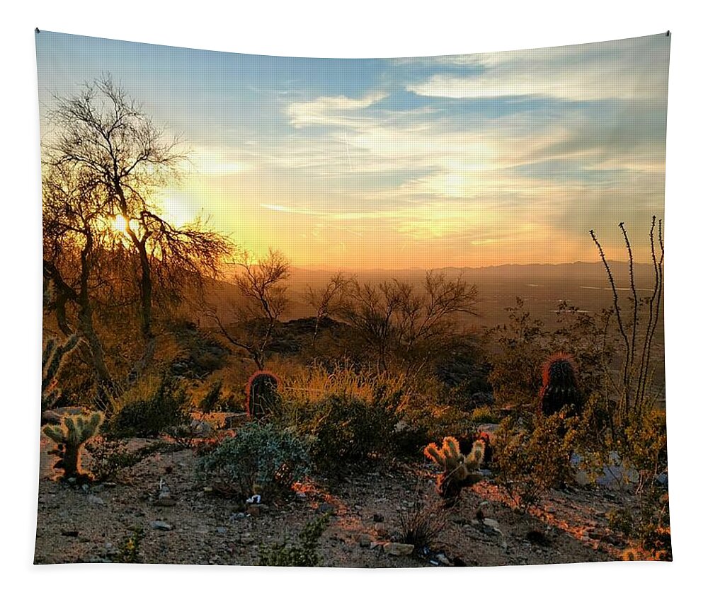  Tapestry featuring the photograph Phoenix Sunset by Brad Nellis