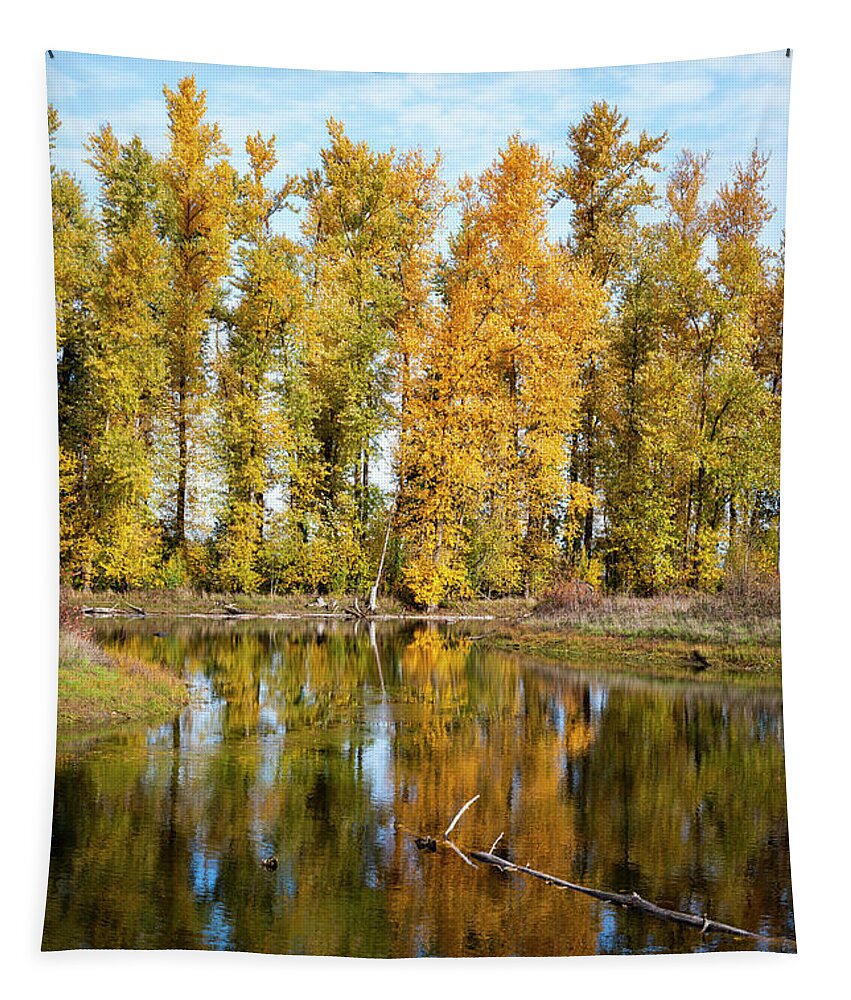 Trees Tapestry featuring the photograph Pond Reflections #1 by Steven Clark