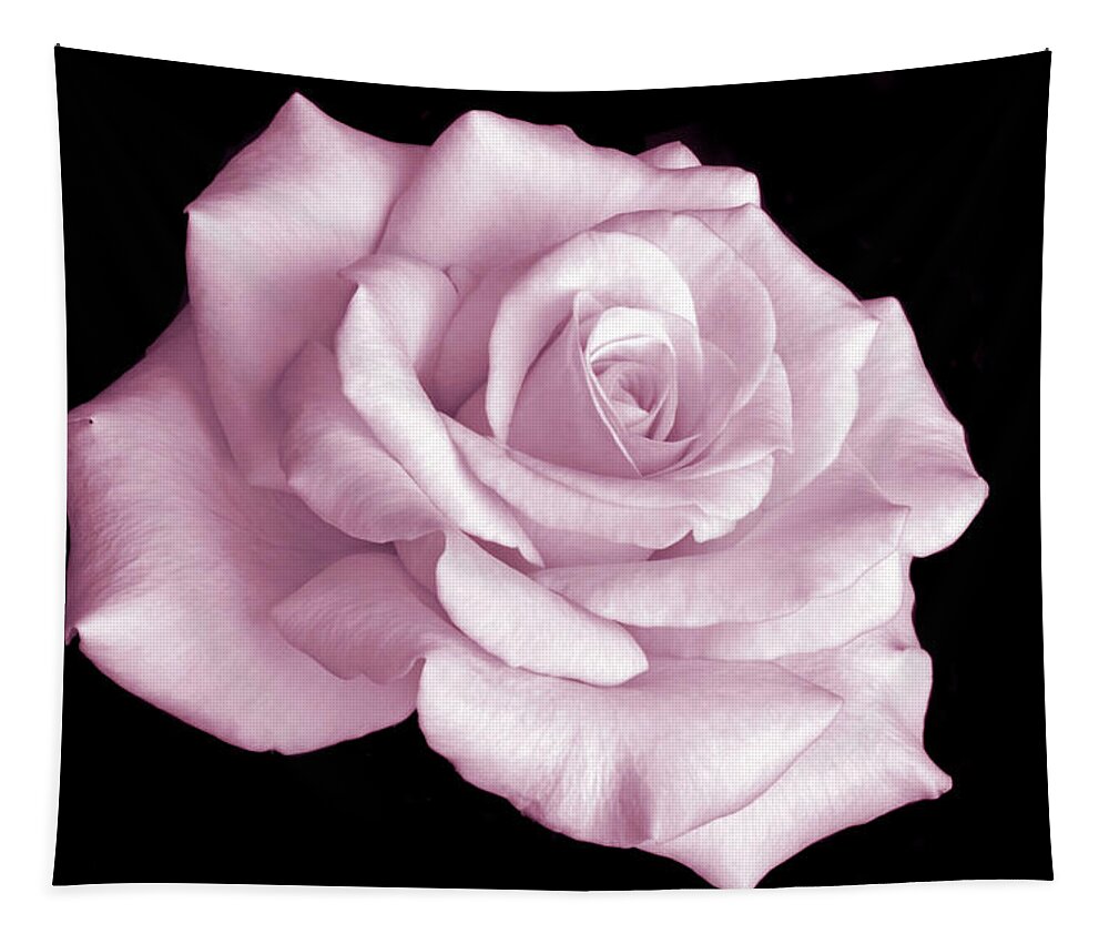 Pink Rose Tapestry featuring the photograph Pretty in Pink #1 by Terence Davis