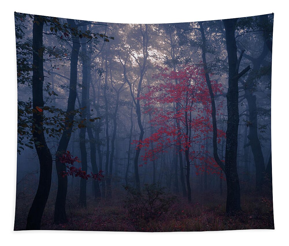 Balkan Mountains Tapestry featuring the photograph Red Tree by Evgeni Dinev