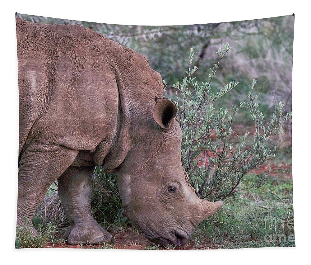 Vacations Tapestry featuring the photograph Rhino Portrait #1 by Brian Kamprath