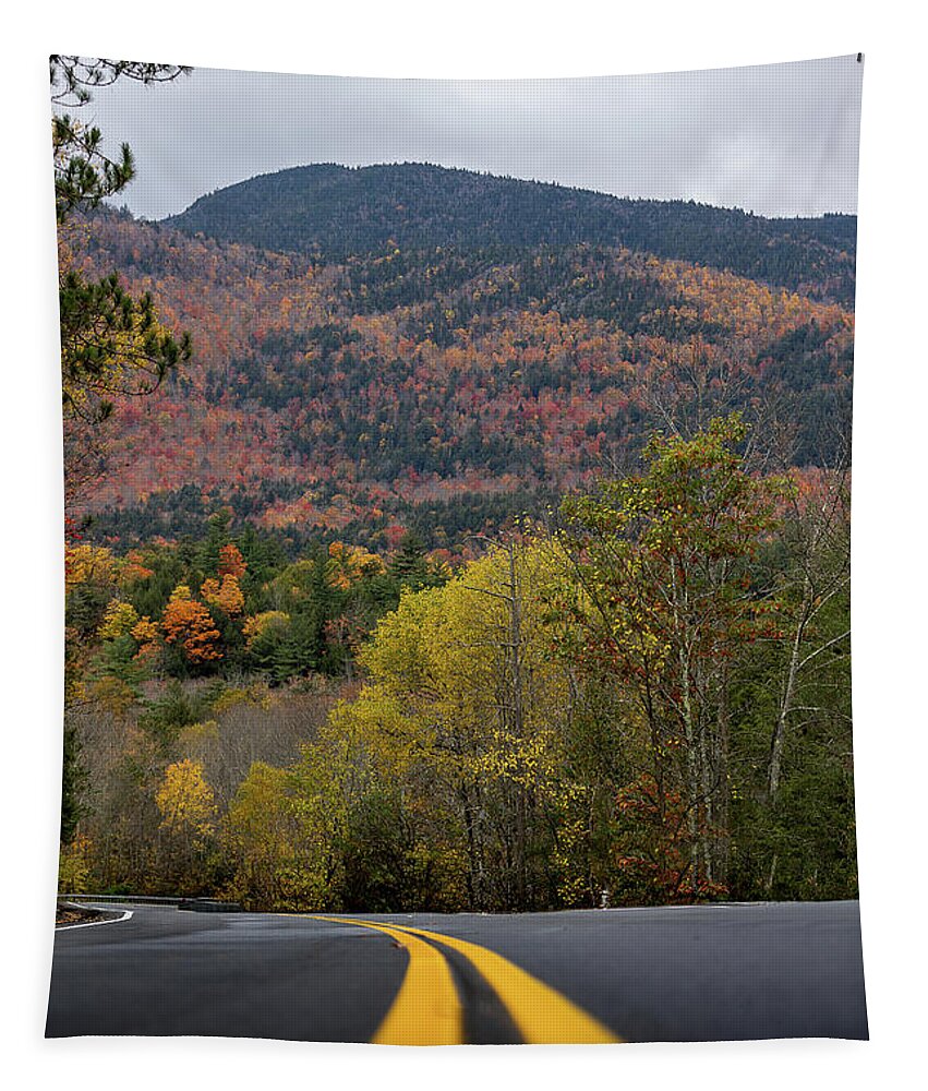 Lake Placid Tapestry featuring the photograph Road through the Adirondacks #1 by Dave Niedbala