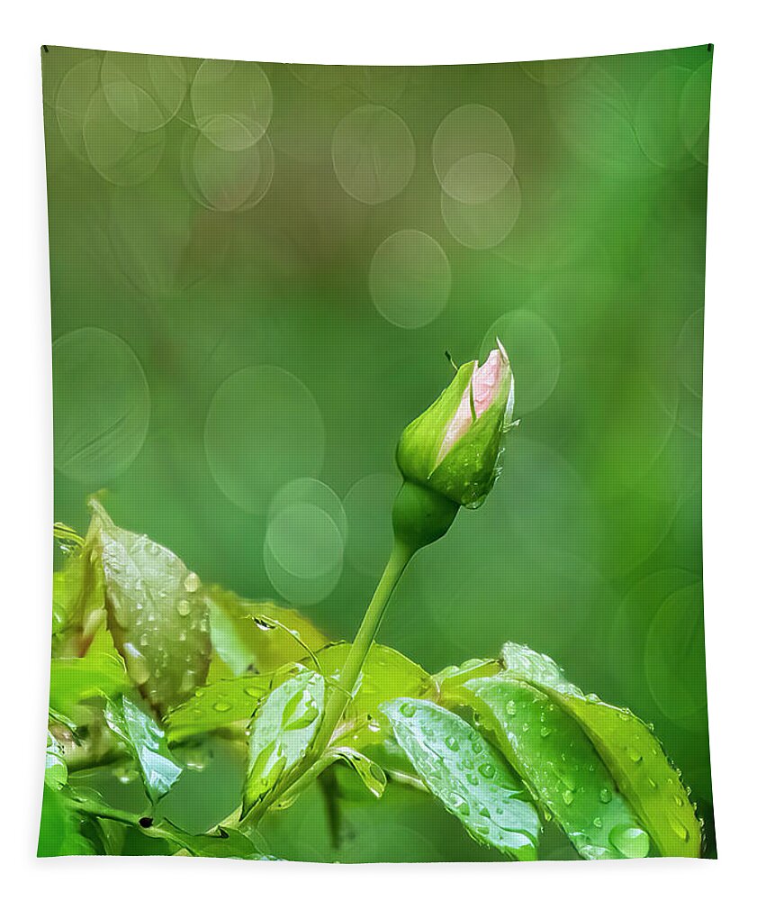 Flower Tapestry featuring the photograph Rose Bud 1355 #1 by Cathy Kovarik