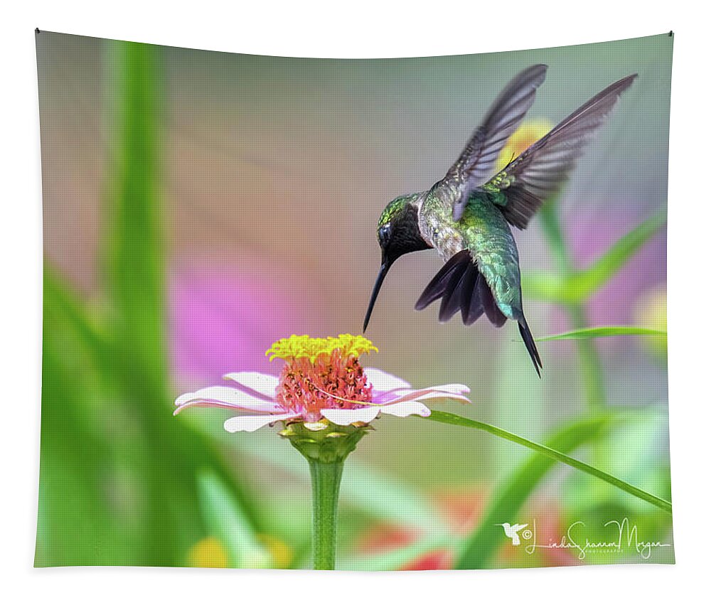 Nature Tapestry featuring the photograph Ruby throated hummingbird #1 by Linda Shannon Morgan
