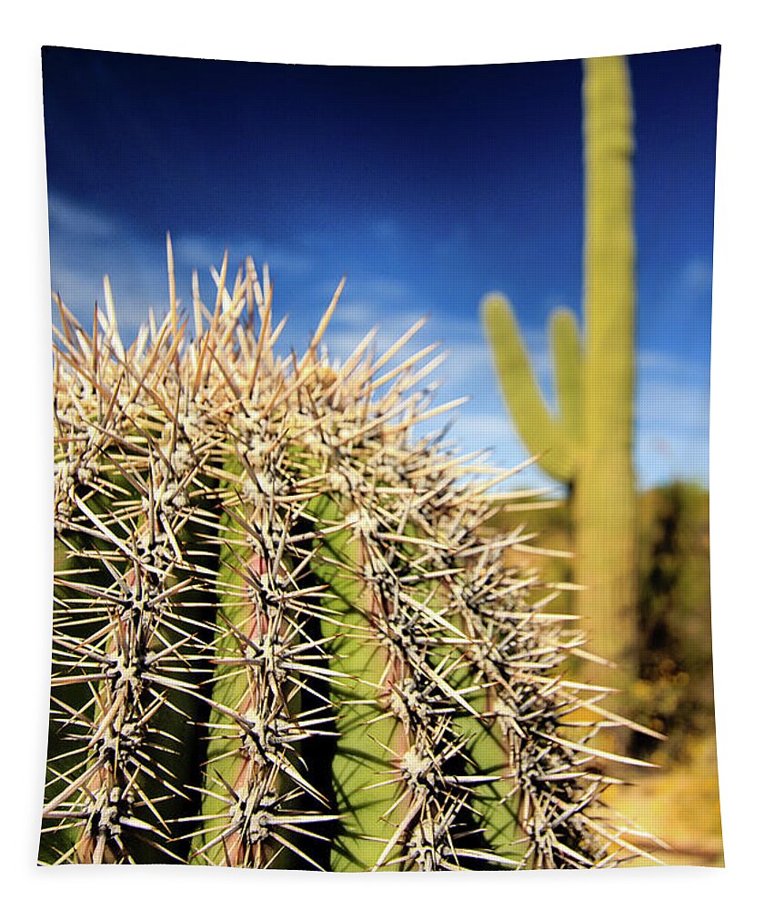 Canyon Tapestry featuring the photograph Saguaro Cactus in the Arizona Desert #1 by Craig A Walker