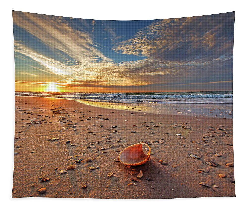 Alabama Tapestry featuring the photograph Seashell by the Seashore #1 by Michael Thomas