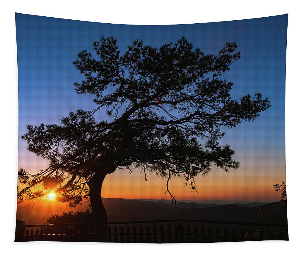 Cyprus Tapestry featuring the photograph Silhouette of a forest pine tree during blue hour with bright sun at sunset. by Michalakis Ppalis