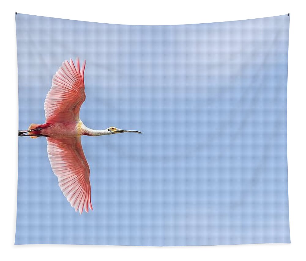 Roseate Spoonbill Tapestry featuring the photograph Sky is the Limit #2 by Puttaswamy Ravishankar