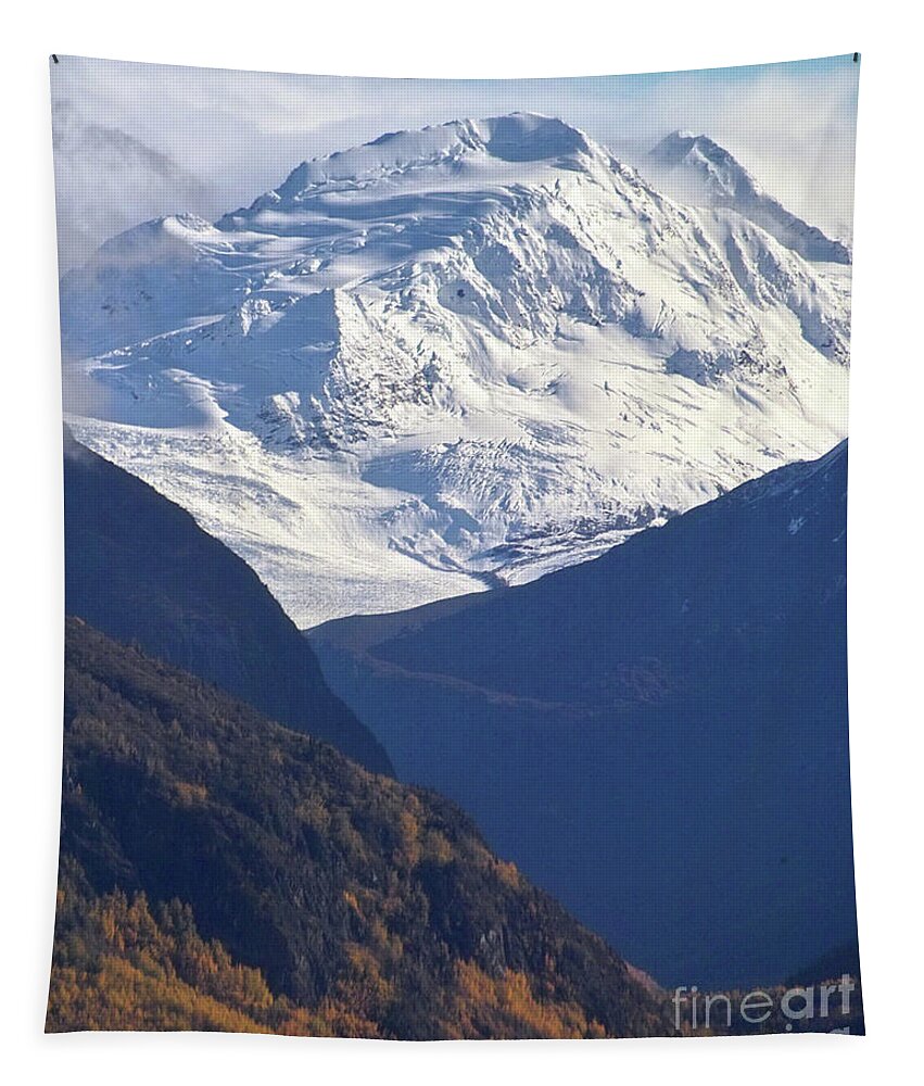 Mountain Tapestry featuring the photograph Snow Covered Mountain #1 by Kimberly Blom-Roemer
