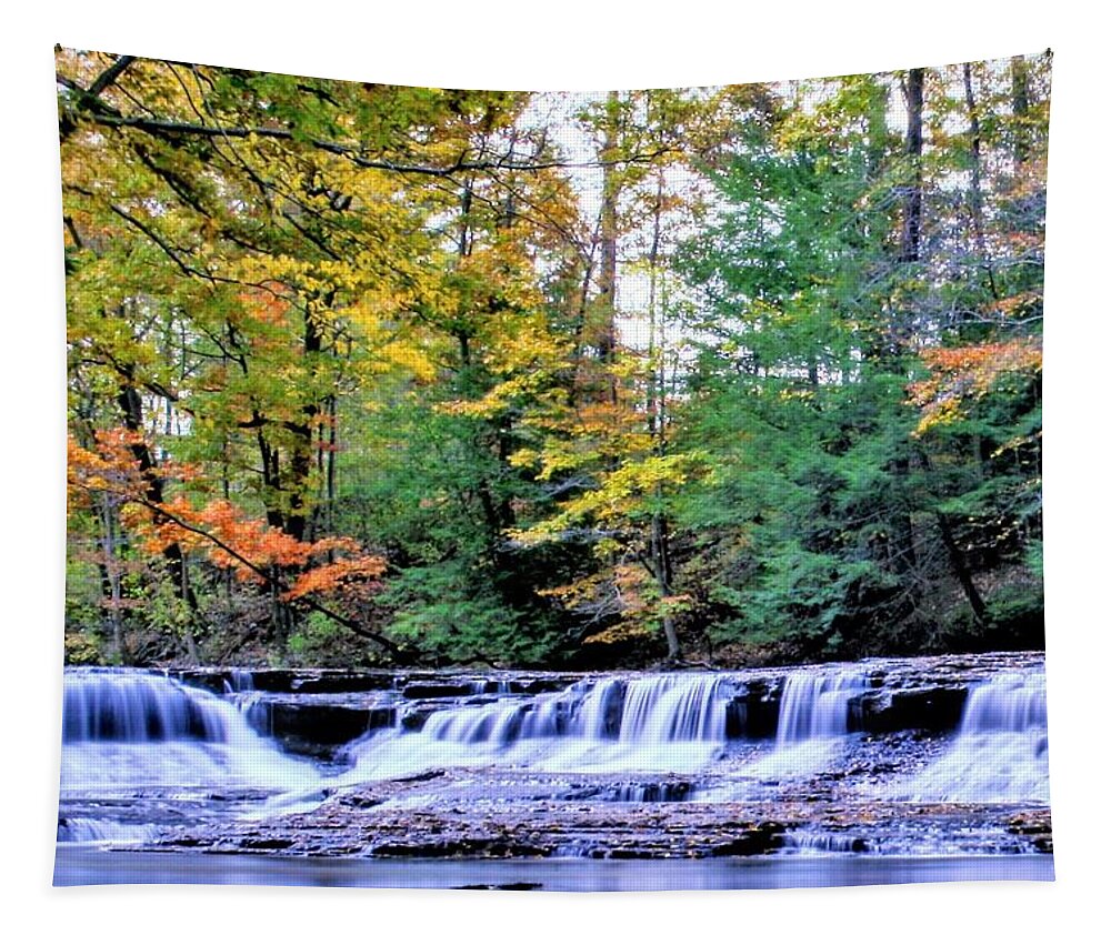  Tapestry featuring the photograph South Chagrin by Brad Nellis