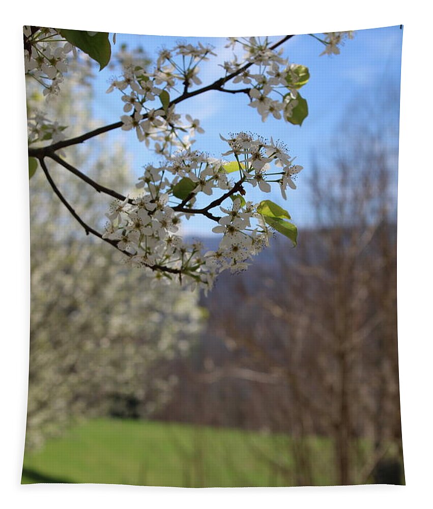 Bartlet Pear Blossoms Tapestry featuring the photograph Spring in the Mountains #1 by Scarlett Royale
