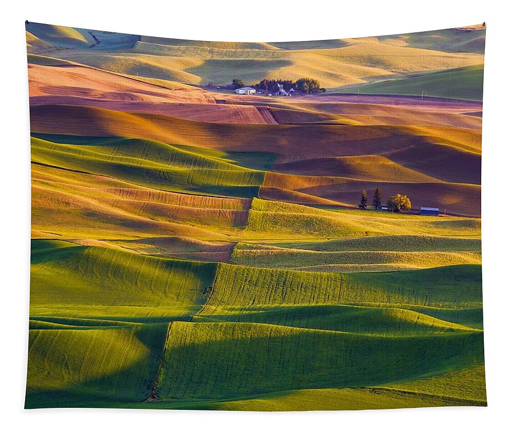 Spring On The Palouse Tapestry featuring the photograph Spring on the Palouse by Lynn Hopwood