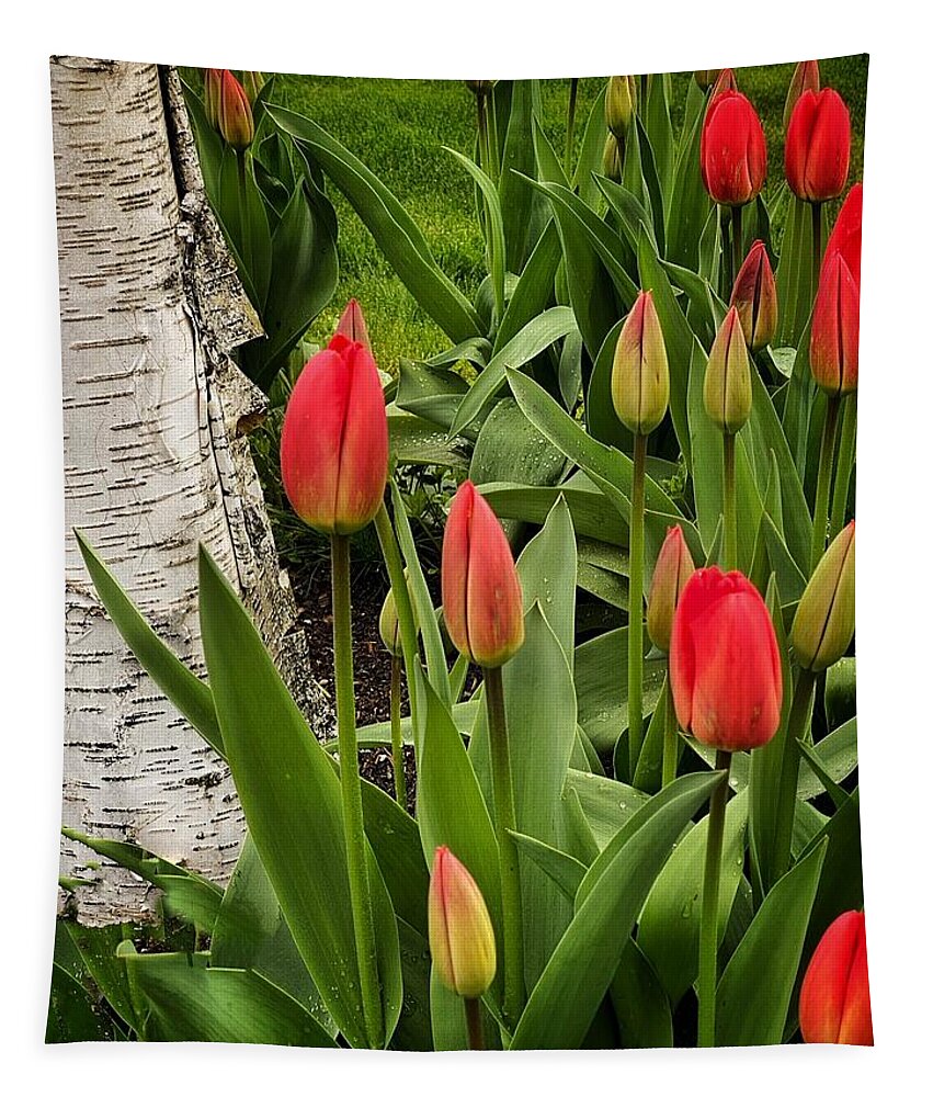 Tulips Tapestry featuring the photograph Spring Tulips #1 by Jerry Abbott