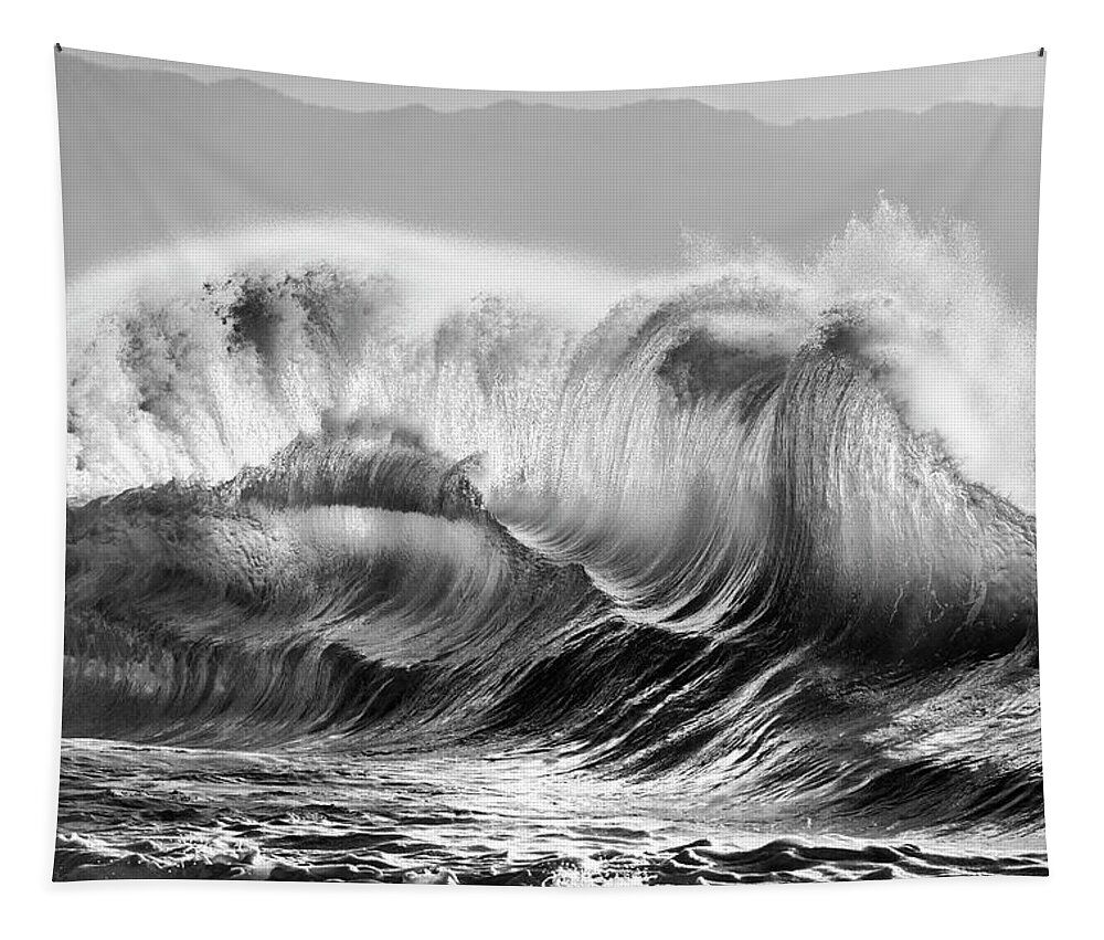 Sea Tapestry featuring the photograph Squeeze Play #2 by Sean Davey