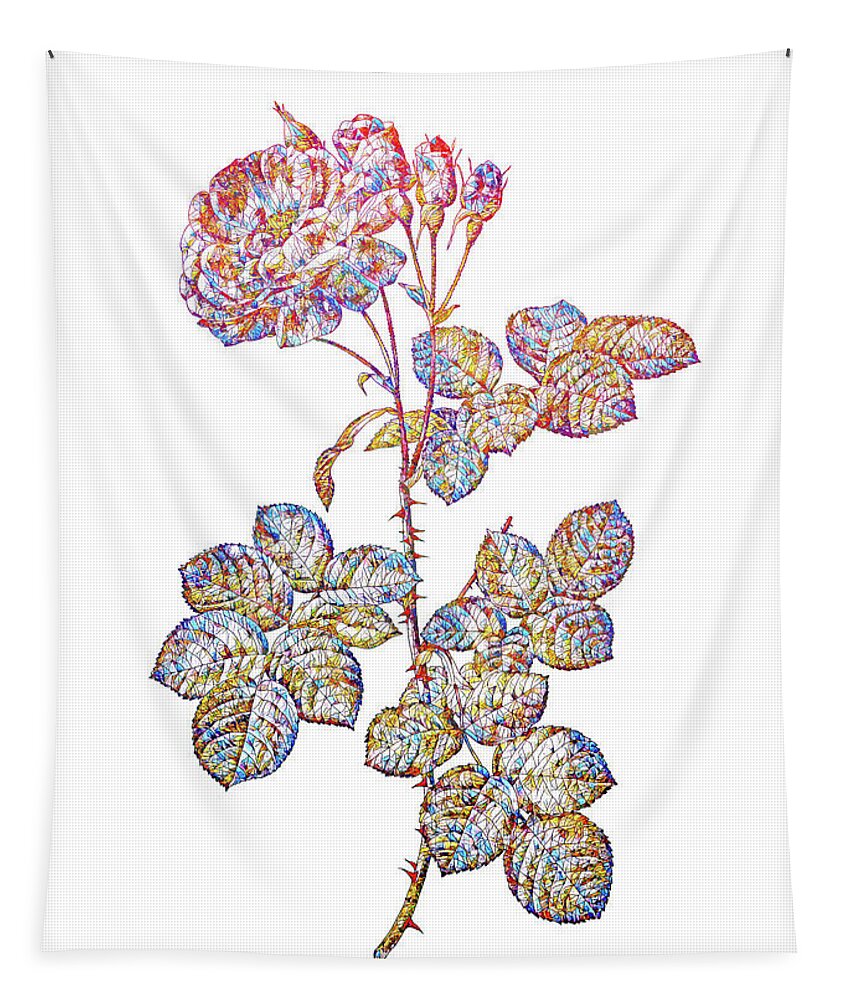 Holyrockarts Tapestry featuring the mixed media Stained Glass Damask Rose Botanical Art On White #1 by Holy Rock Design