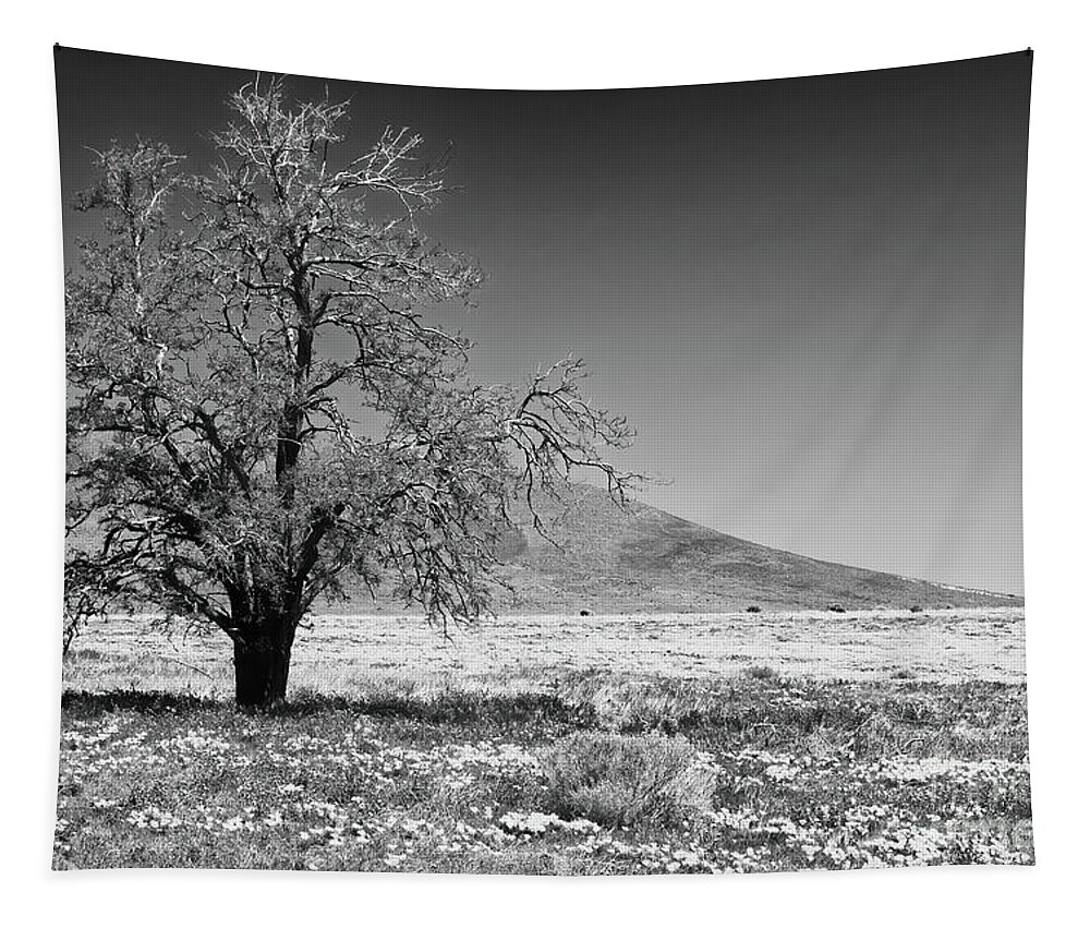 Black & White Tapestry featuring the photograph Standing Alone #1 by Sandra Bronstein
