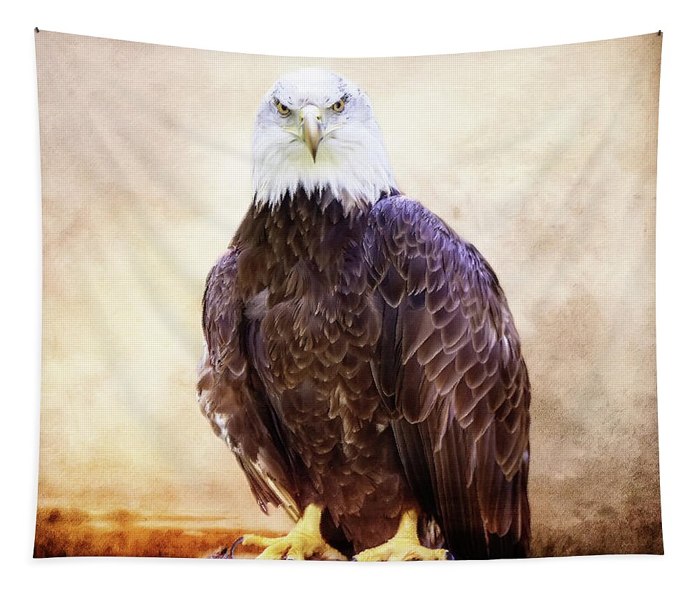 Bald Eagle Tapestry featuring the photograph Stare Down #1 by Ed Taylor