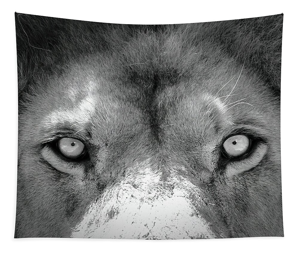 Lion Tapestry featuring the photograph Stare Down #1 by Lens Art Photography By Larry Trager