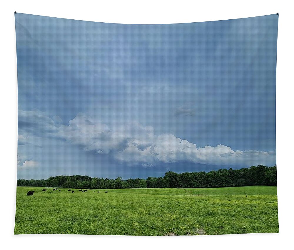 Weather Tapestry featuring the photograph Storm Near Elberfeld, Indiana #1 by Ally White
