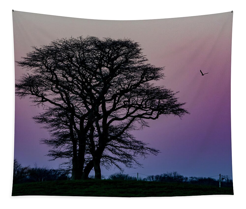Landscape Tapestry featuring the photograph Sundown by Cathy Kovarik